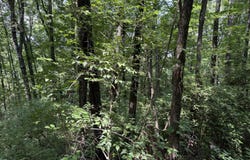 0 Wheeler Avenue, Chattanooga, TN 37404
