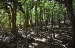 2035 CR 448, Rochelle, TX 76827
