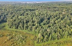 Kirkshire Drive, Delton, MI 49046