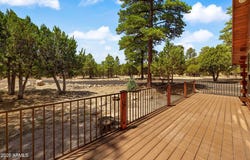 1464 LOW MOUNTAIN Trail, Heber, AZ 85928