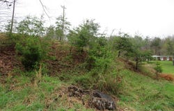 0 KY Route 580, Staffordsville, KY 41256