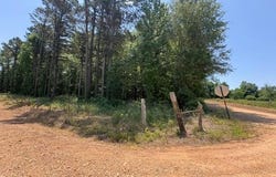 Hempstead 24 & 45, Blevins, AR 71857