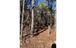 TBD Swansea Road Tract b, Swansea, SC 29160