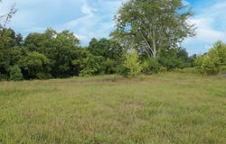 520 Pennington Lane Lane, Owenton, KY 40359