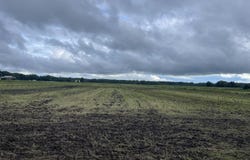 Ryland Road lot: A, Tyner, NC 27980
