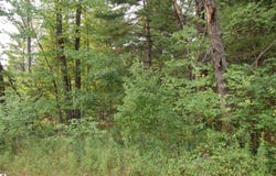 LOT 21-22 George Street, Prescott, MI 48756