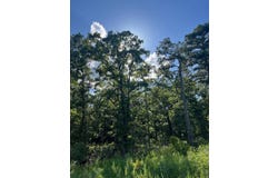Tract 4 SE 1083  Road Ave., Red Oak, OK 74563