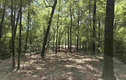 1131 Wolf Log Rd, Flomaton, AL 36441