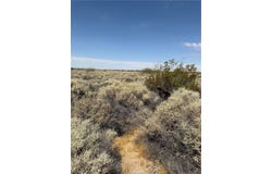 Wheeler, Helendale, CA 92342