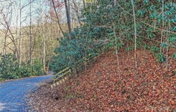 Tbd Dundee Lane, Pisgah Forest, NC 28768