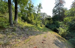 54 TUPELO ROAD, SPRINGFIELD, WV 26763