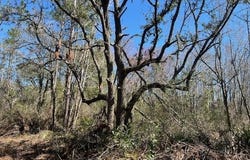 SW Open Sands Loop, Greenville, FL 32331-0000