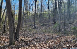59 Acres Horse Cove Road, Gurley, AL 35748