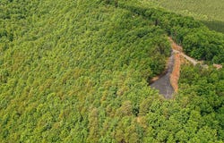 Idlewild Lane, Bostic, NC 28018