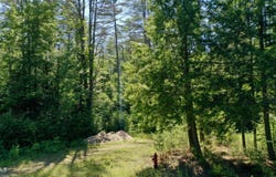 49 The Woods, Johnsburg, NY 12853