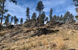 Buckhorn Estates Drive, Custer, SD 57730