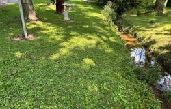 502 Perine Street, Cisne, IL 62823