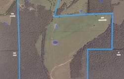 15524 County Road 615, Birch Tree, MO 65438