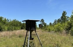 92+/- Ac Frost lane, Laurel Hill, FL 32567