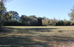 113 Bull Horn Road, Como, MS 38619