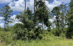 633 Sams, Hortense, GA 31543