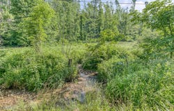 00 Antioch Road, Mountain City, TN 37683