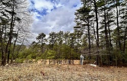 Lot 82 DOE GARDEN DRIVE, YELLOW SPRING, WV 26865