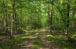 W7418 Flambeau Point Road, Ladysmith, WI 54848