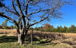 9805754 S. OakTree Rd, Wellston, OK 74881