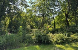 124 Oak Point Rd., Picayune, MS 39466