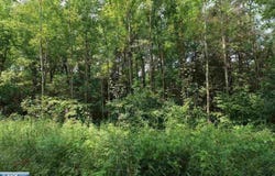 xxx Lane 51, Aurora, MN 55705