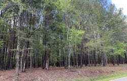 Tbd/Lot 1 Henry Oldham Road, Bear Creek, NC 27207
