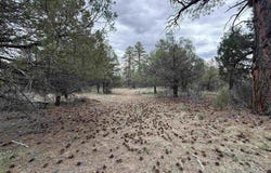 99 Cheyenne Drive, Durango, CO 81301