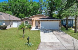 3795 RACHEL STREET, APOPKA, FL 32703