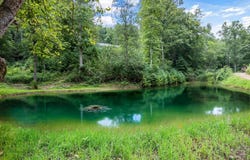 201 Flat Rock Way, Del Rio, TN 37727