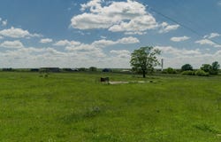 001 E 1400 Road, Stockton, MO 65785