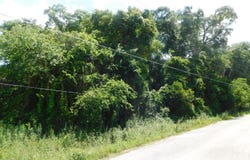 MAY Street SE, Live Oak, FL 32064