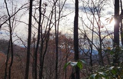 Bear Cove Circle, Bryson City, NC 28713