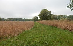 9500 Jones Road, Bellevue, MI 49021