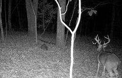 Tbd Southfork Road, Lincolnton, NC 28092