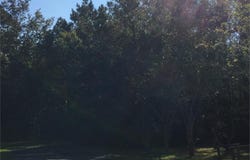 91 W Magnolia, Kingsland, GA 31548