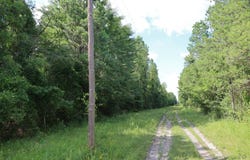 TBD Old Military Rd., Winnfield, LA 71483