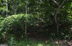 596 BACK CREEK ROAD, GORE, VA 22637