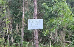 905 E HILLSBOROUGH AVENUE, FLORAHOME, FL 32140
