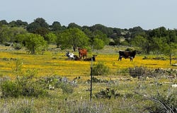 3420 NE County Rd 2596, Sonora, TX 76950