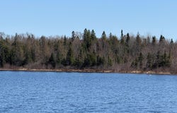 On FR 8300, Marenisco, MI 49947