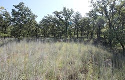 Lot 265 Ridgeline Drive, Chico, TX 76431