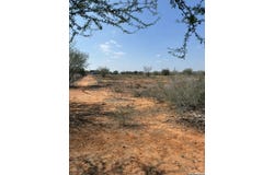 24 Cheyenne, HEBBRONVILLE, TX 78361