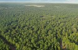 Planer Mill Rd, DeRidder, LA 70634