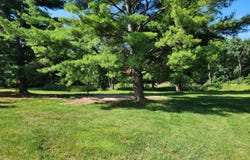64196 Youngs Prairie Road, Constantine, MI 49042